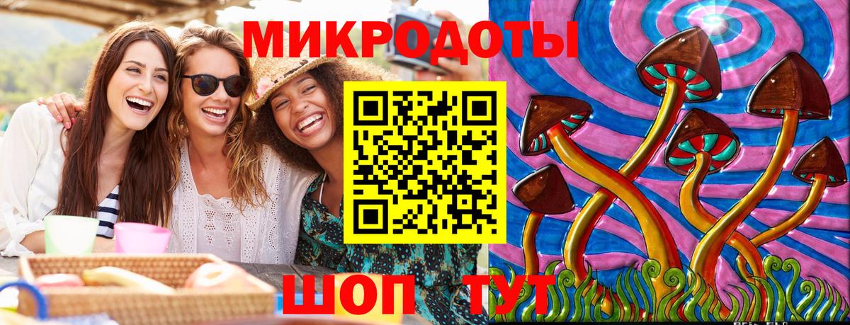 Галлюциногенные грибы Psilocybine cubensis Приморско-Ахтарск