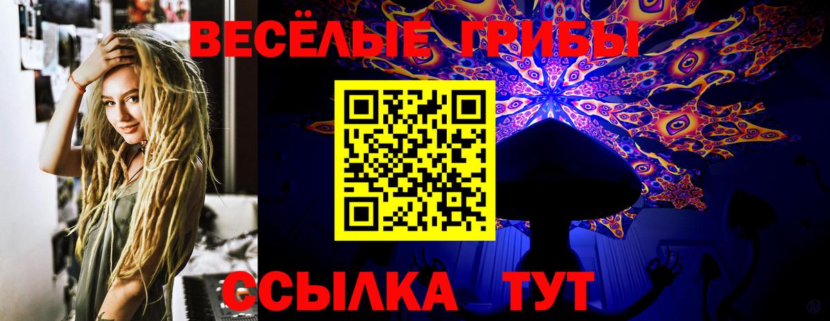дарнет шоп  Вход с VPN  Приморско-Ахтарск  Псилоцибиновые грибы ЛСД  Галлюциногенные грибы Cubensis 