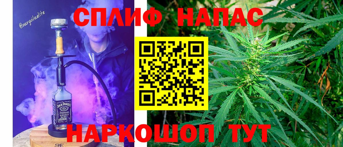 Бошки марихуана конопля Приморско-Ахтарск